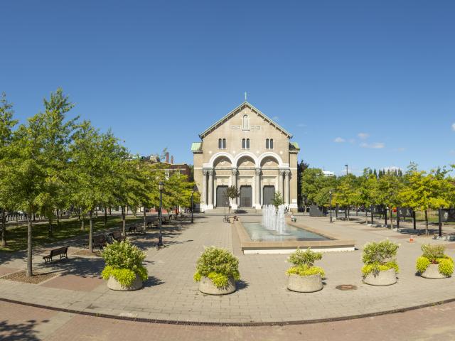 Parque Mision Guadalupe